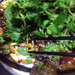 豆花视频在线吃瓜,在线吃瓜，畅享娱乐盛宴