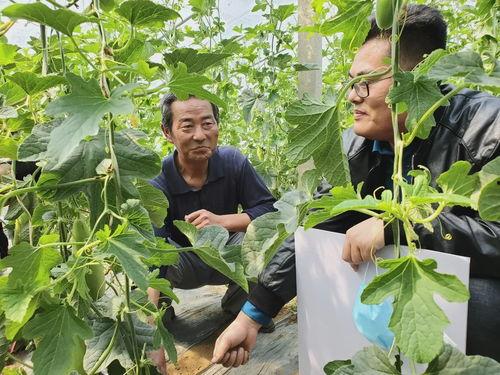 梦见继子吃小瓜,继子吃瓜背后的寓意解析