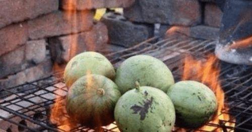 日本吃翔吃瓜,吃翔吃瓜，揭秘独特饮食文化