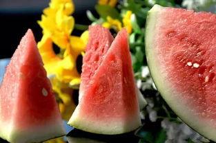 日本吃翔吃瓜,吃翔吃瓜，揭秘独特饮食文化