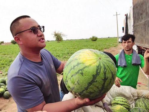 吃瓜一千,揭秘娱乐圈背后的故事与真相