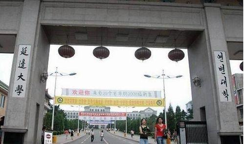 延边大学吃瓜,吃瓜群众的味蕾盛宴