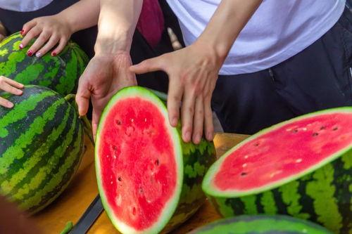 延边大学吃瓜,吃瓜群众的味蕾盛宴