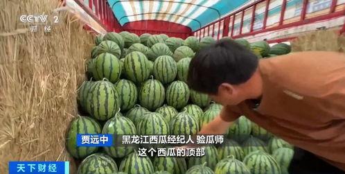 春秋广场吃瓜,热闹非凡的吃瓜现场，见证人间百态