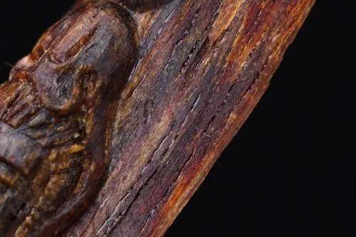 吃瓜大哥鉴定沉香,沉香生成之谜