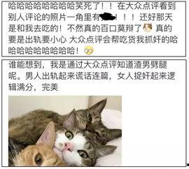 带你吃瓜沙雕评论,带你领略“带你吃瓜沙雕评论”的欢乐与智慧