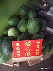 巩义吃瓜,揭秘当地美食风情