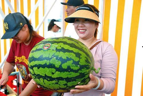 请看作品吃瓜,揭秘请看作品吃瓜的幕后故事