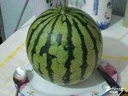 请看作品吃瓜,揭秘请看作品吃瓜的幕后故事