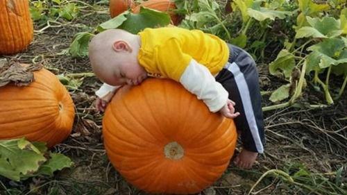 yz睡不醒吃瓜,yz睡不醒的瓜田奇遇记