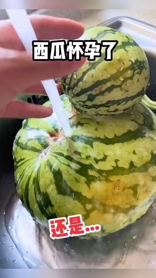 有趣的吃瓜音频,笑料横生！揭秘那些让人捧腹的吃瓜音频大揭秘