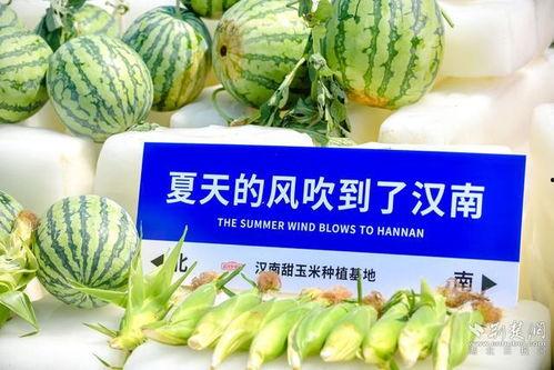 爆浆 吃瓜,吃瓜群众的味蕾盛宴