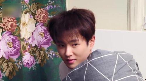 吃瓜少年范太白,揭秘娱乐圈背后的秘密