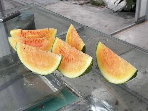 湖南农村吃瓜视频