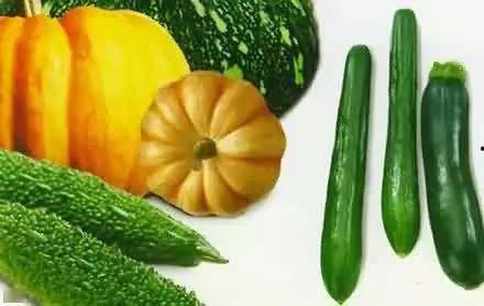 隐晦吃瓜,隐秘角落里的瓜香四溢