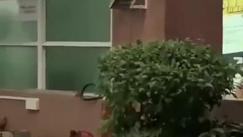 青州今日吃瓜新闻,今日热点新闻回顾