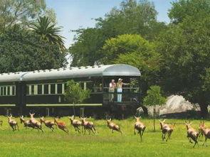 开火车吃瓜网,带你领略网络世界的趣味与智慧