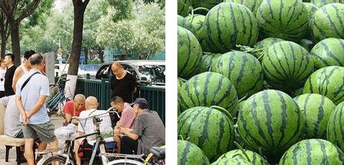 吃瓜惨遭背刺,揭秘背后真相