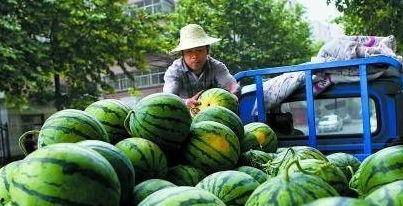 吃瓜惨遭背刺,揭秘背后真相