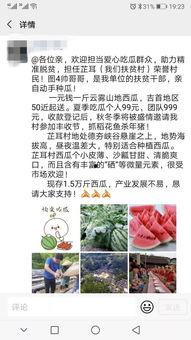 村里吃瓜群众文案,揭秘乡村生活百态