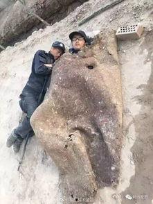 新疆警察吃瓜,瓜果飘香警营情