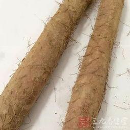 皮毛吃瓜,揭秘美食背后的皮毛文化