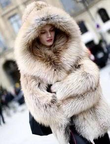 皮毛吃瓜,揭秘美食背后的皮毛文化