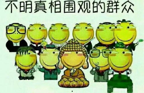 吃瓜群众乐开怀,揭秘娱乐圈欢乐瞬间