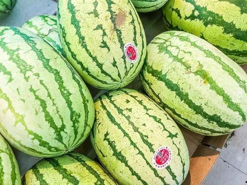 江阴学校吃瓜,揭秘校园食品安全风波