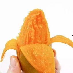 夏芒吃瓜,一场别开生面的夏日食趣之旅