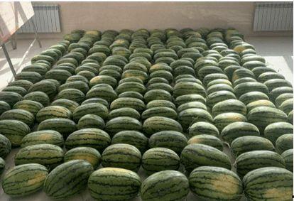 浏阳最近吃瓜新闻,揭秘本地热点事件背后的故事