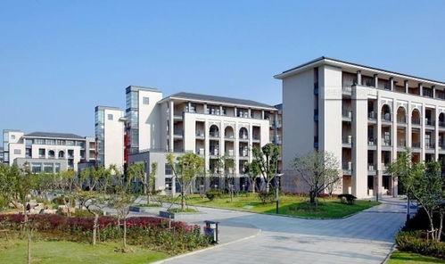 职教园吃瓜,揭秘校园里的那些事儿