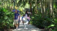 女子吃瓜逛景区,女子悠闲畅游吃瓜记