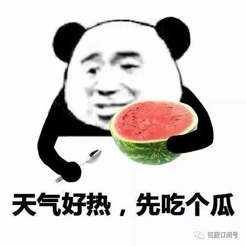 老莫带你吃瓜,老莫带你领略美食界的“瓜田”
