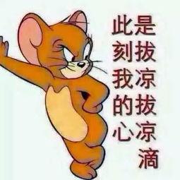 吃瓜群众迷糊图片,捕捉生活瞬间