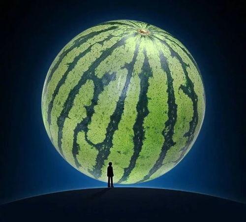 吃瓜进度,跟随吃瓜群众解锁娱乐圈最新动态