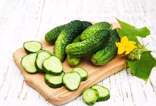 吃瓜群众绿油油,揭秘吃瓜群众的趣味生活