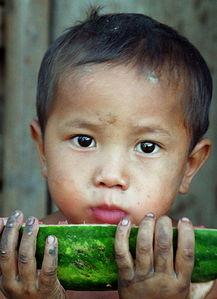 少年吃瓜人,揭秘成长路上的酸甜苦辣