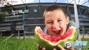 少年吃瓜人,揭秘成长路上的酸甜苦辣