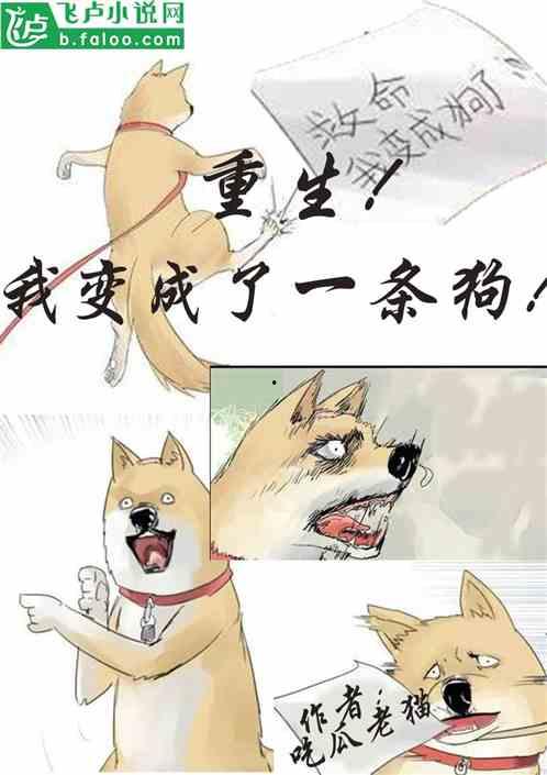 小狗吃瓜视频大全,小狗吃瓜视频大全欢乐集锦