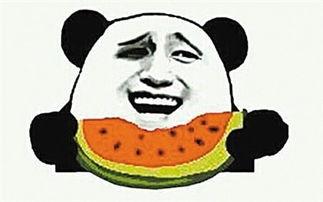 吃瓜群众小林芒果