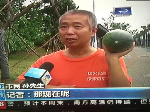 瓜哥带你吃瓜奇葩事件,那些令人瞠目结舌的吃瓜奇闻轶事