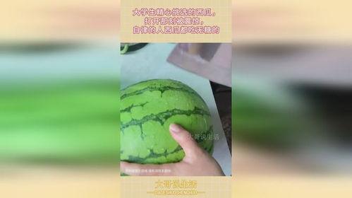 吃大学生瓜,揭秘大学生们的甜蜜瓜界