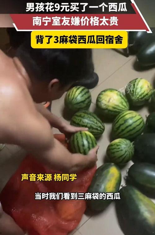 吃大学生瓜,揭秘大学生们的甜蜜瓜界