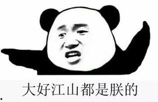 吃瓜群被踢,揭秘被踢背后的真相与反思