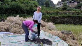 吃瓜群被踢,揭秘被踢背后的真相与反思