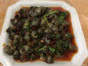 五一今日吃瓜视频,盘点热门视频背后的趣味与真相