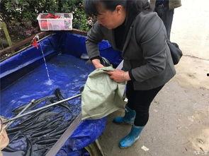 五一今日吃瓜视频,盘点热门视频背后的趣味与真相