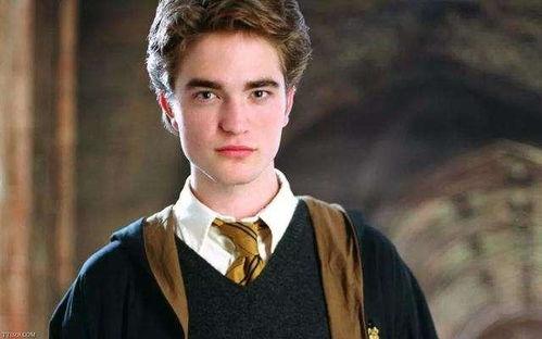 吃瓜罗伯特苏新皓,苏新皓的瓜田奇遇记