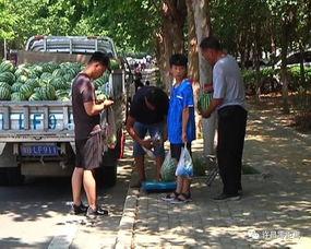 商河吃瓜群众,揭秘当地生活百态